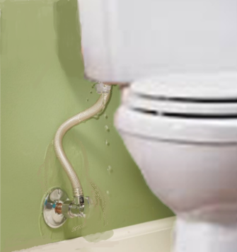 water-leaks-at-toilet-at-Phoenix-house